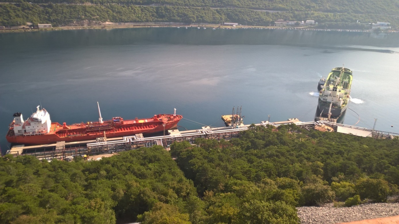 MGNF_PIC_0000_256_Zenith Pure Oil_LOGISTICS_cr-8sj7h6f2zv.jpg